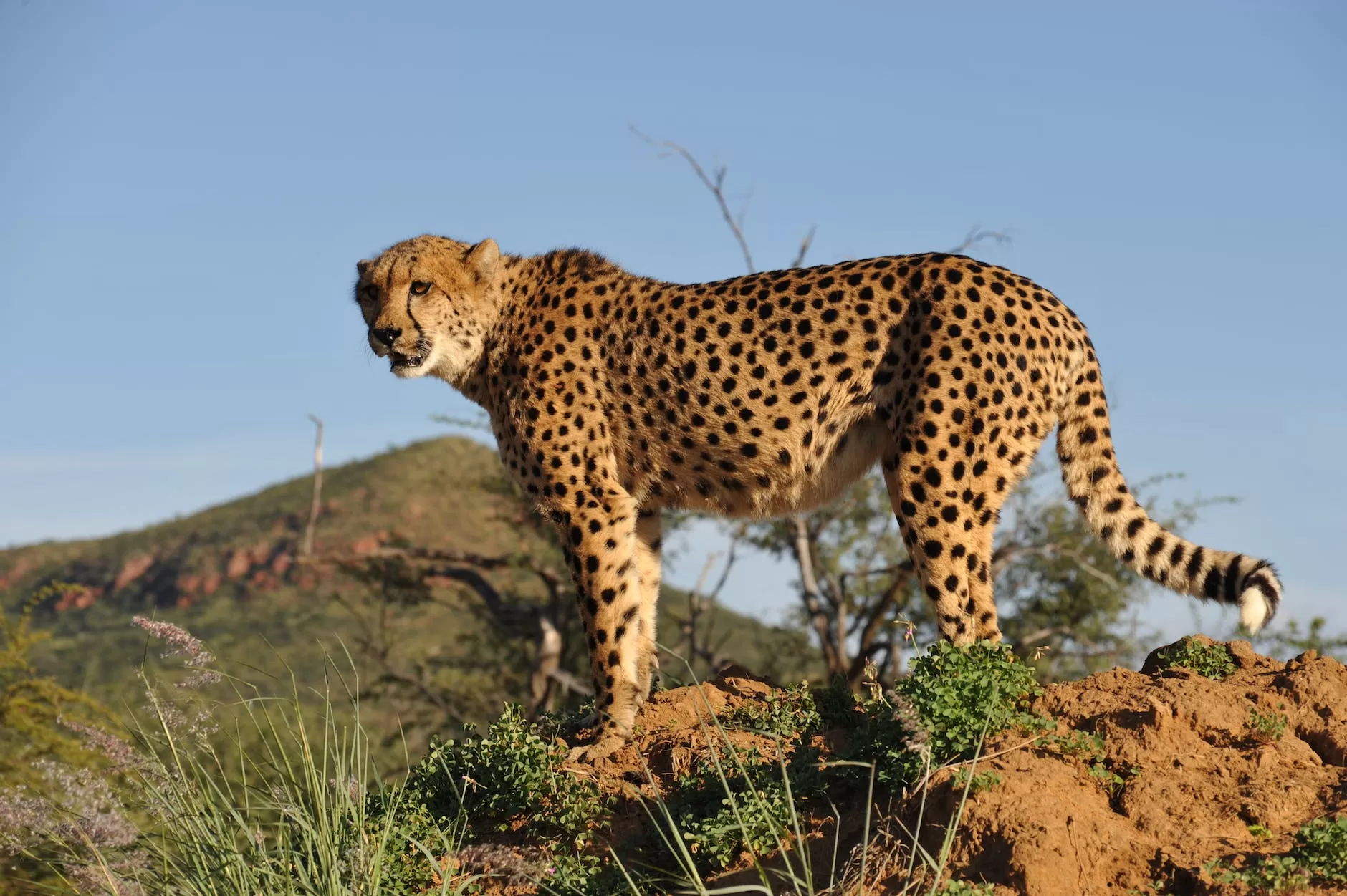 travel agency in namibia